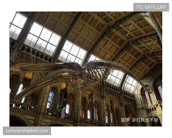 伦敦博物馆将举办“欧冠记忆”特展，展出包括伊斯坦布尔奇迹在内的多件藏品